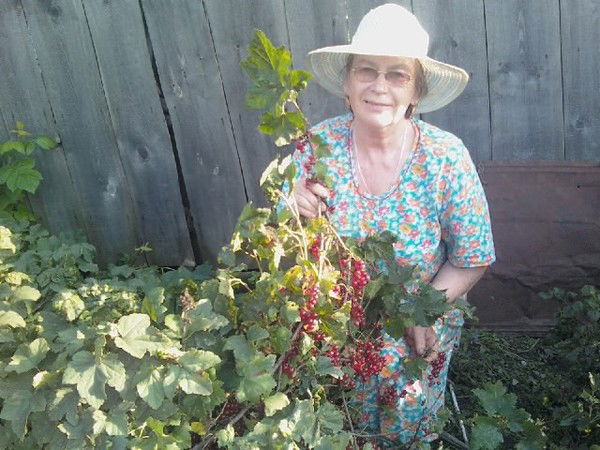 Нина Курочкина