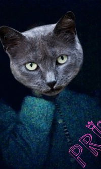 Алина Миллер