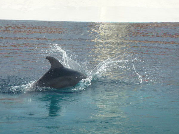 Галина Сторожук