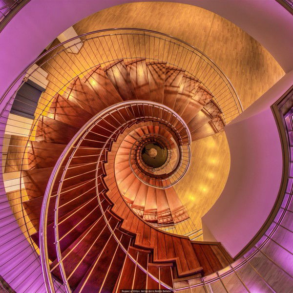 Анна Онищенко