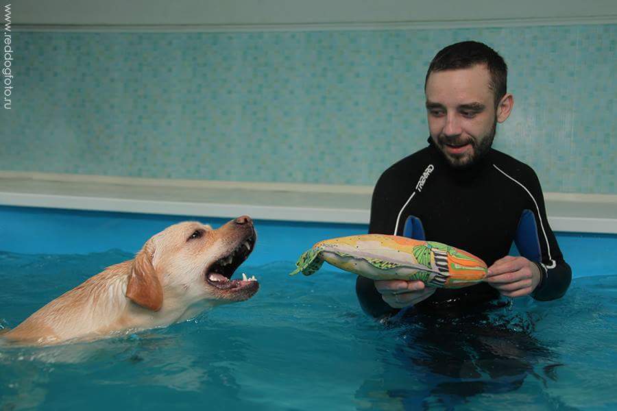 Иван Деянов