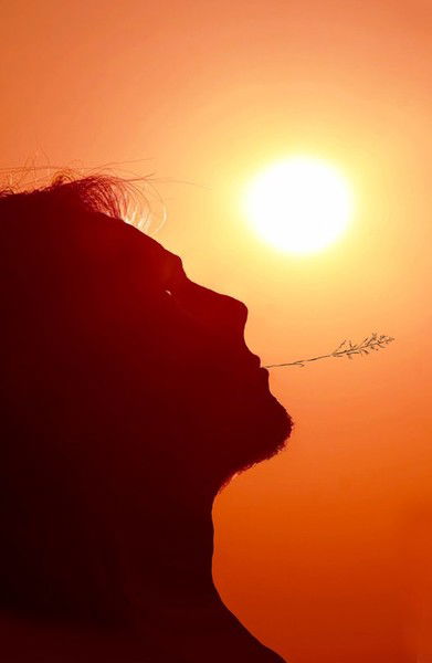 Дмитрий Сизов