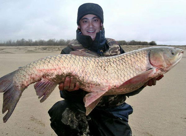 Тургали Еленов