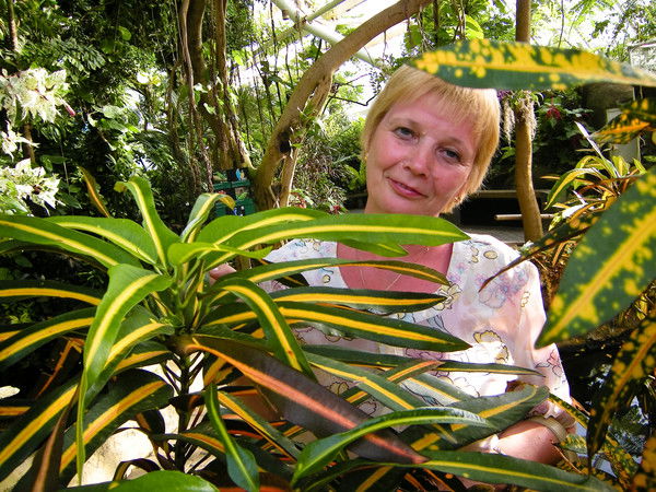 Ванда Писаренко