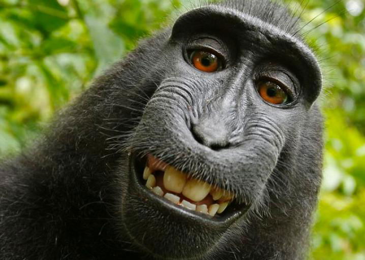 Ириша Гринберг