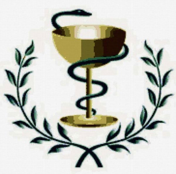 Бимуханова Анар