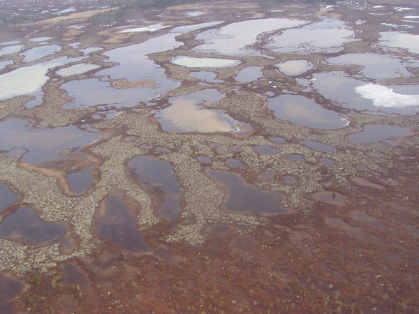 Андрей Панов