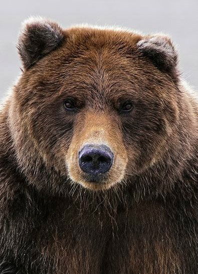 Станислав Станислав