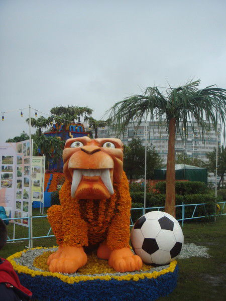 Робин Каметов