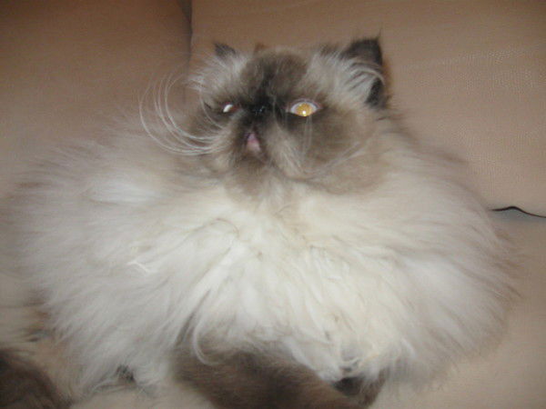 Валентина Соколова