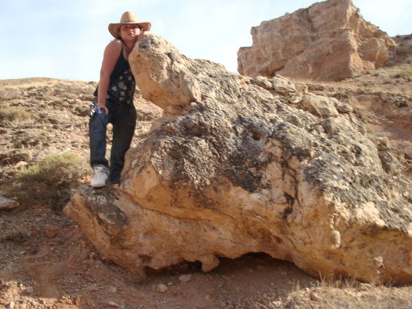 Алла Белоусова