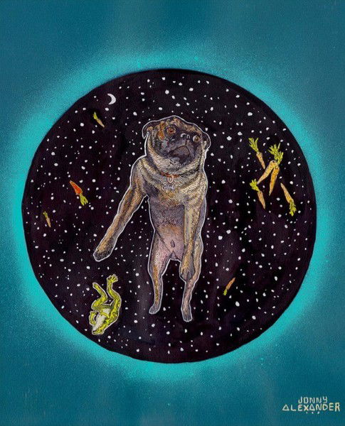 Алина Тихонюк