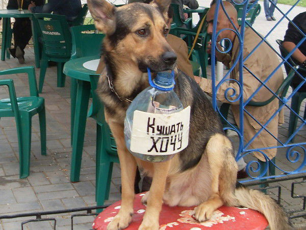 Роман Григорьев