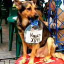 Роман Григорьев
