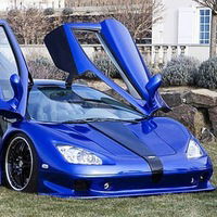 Адриан Франк