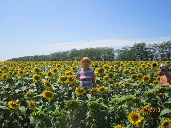 Татьяна Молоканова