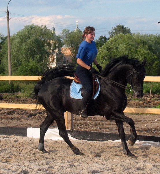 Елена Никишова