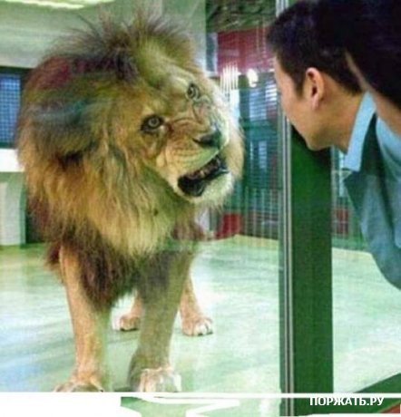 Акылжан Рахимов