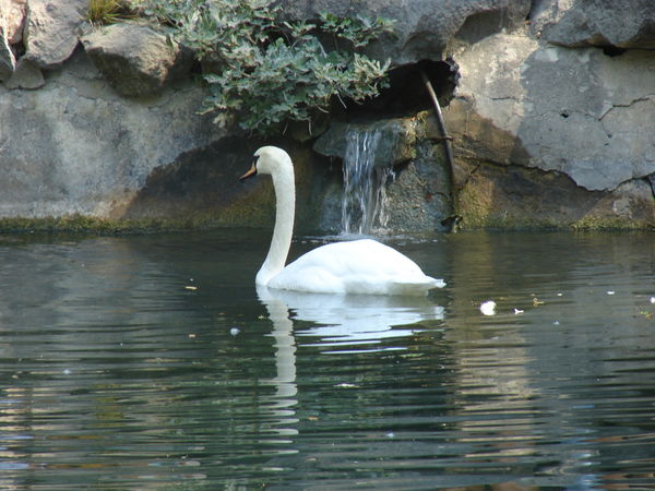 Татьяна Троян