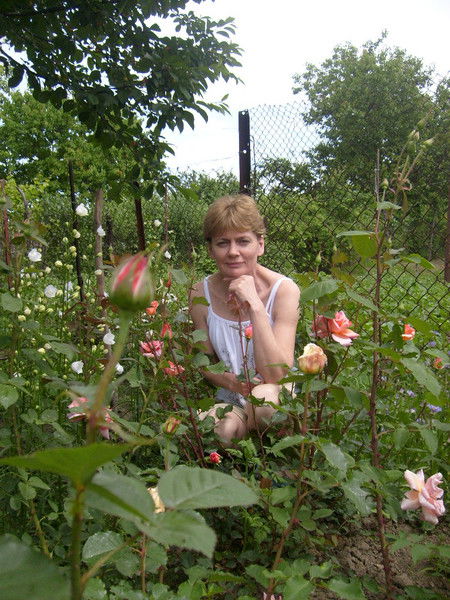 Елена Кошелева