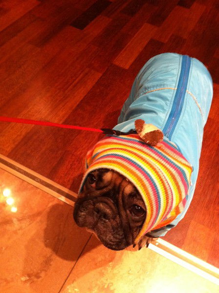 Сергей Картуз