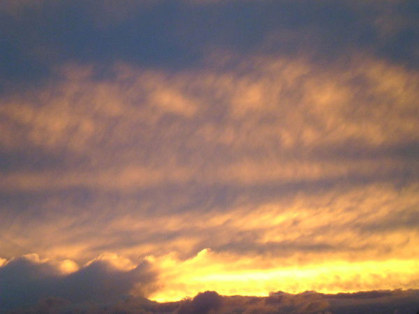 Евгения Викторовна