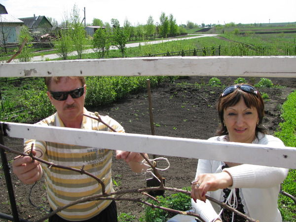 Елена Касьянова