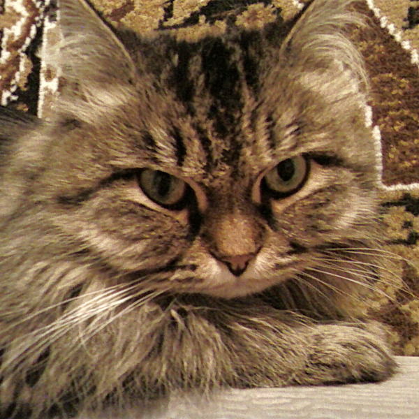 Алексей Устюжанин