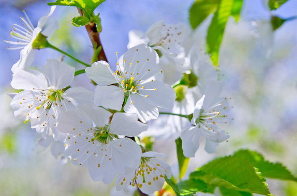 Оксана Гайда