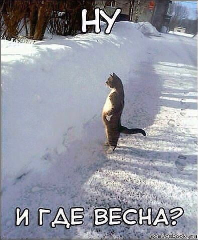 Биржан Хаметов