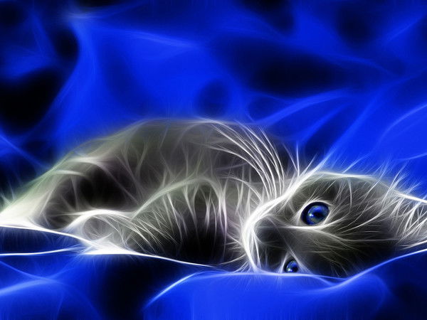 Антон Кокарь