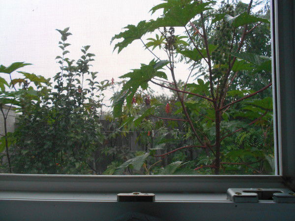 Мария Шабетник