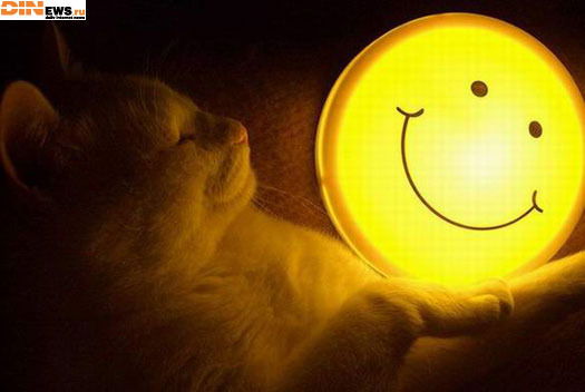 Домникия Вербанова