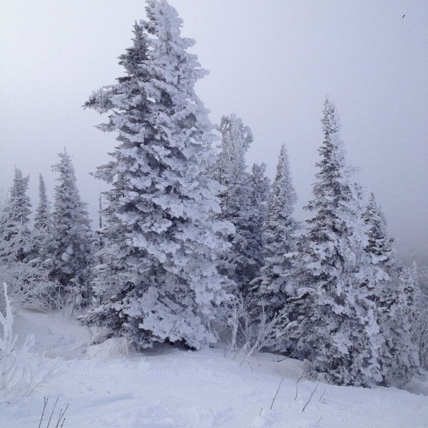 Андрей Первушин