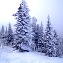 Андрей Первушин