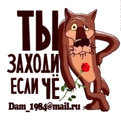 Дамир Бердибеков