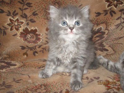 Екатерина Баранова