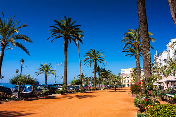 Ксения Елисеева