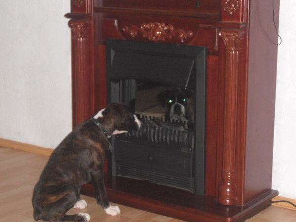 Татьяна Григорьева