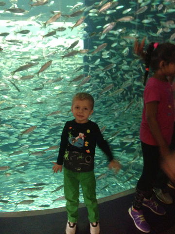 Ольга Доброта