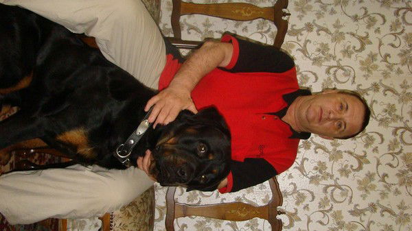 Михаил Елин