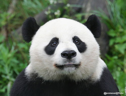 Нурлан Бакиров