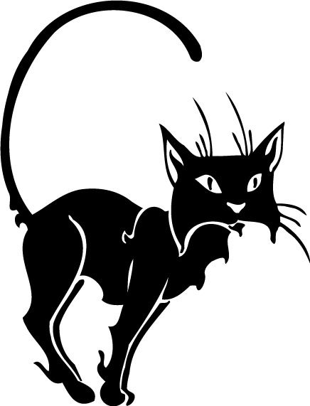 Полина Шишкина