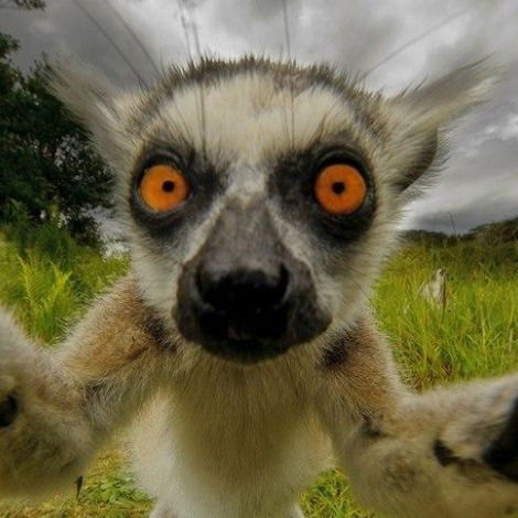 Михаил Егоров