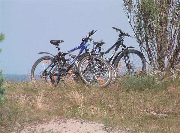 Дмитрий Игнатов