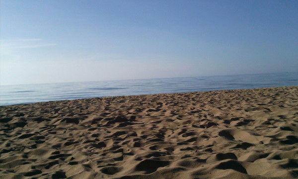 Надежда Сысолятина