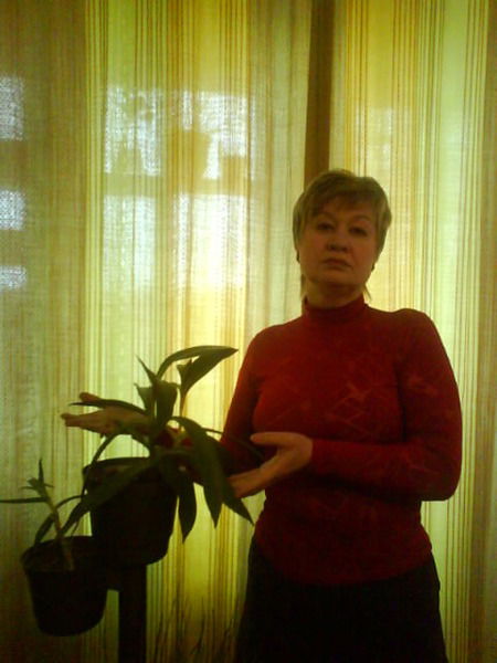 Елена Сергеева