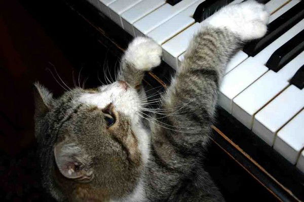 Надежда Павлова