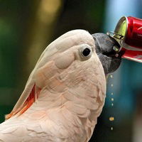 Виталий Ячменёв