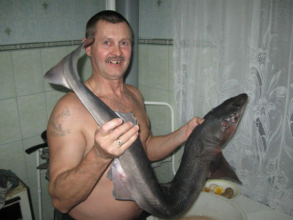 Александр Майба